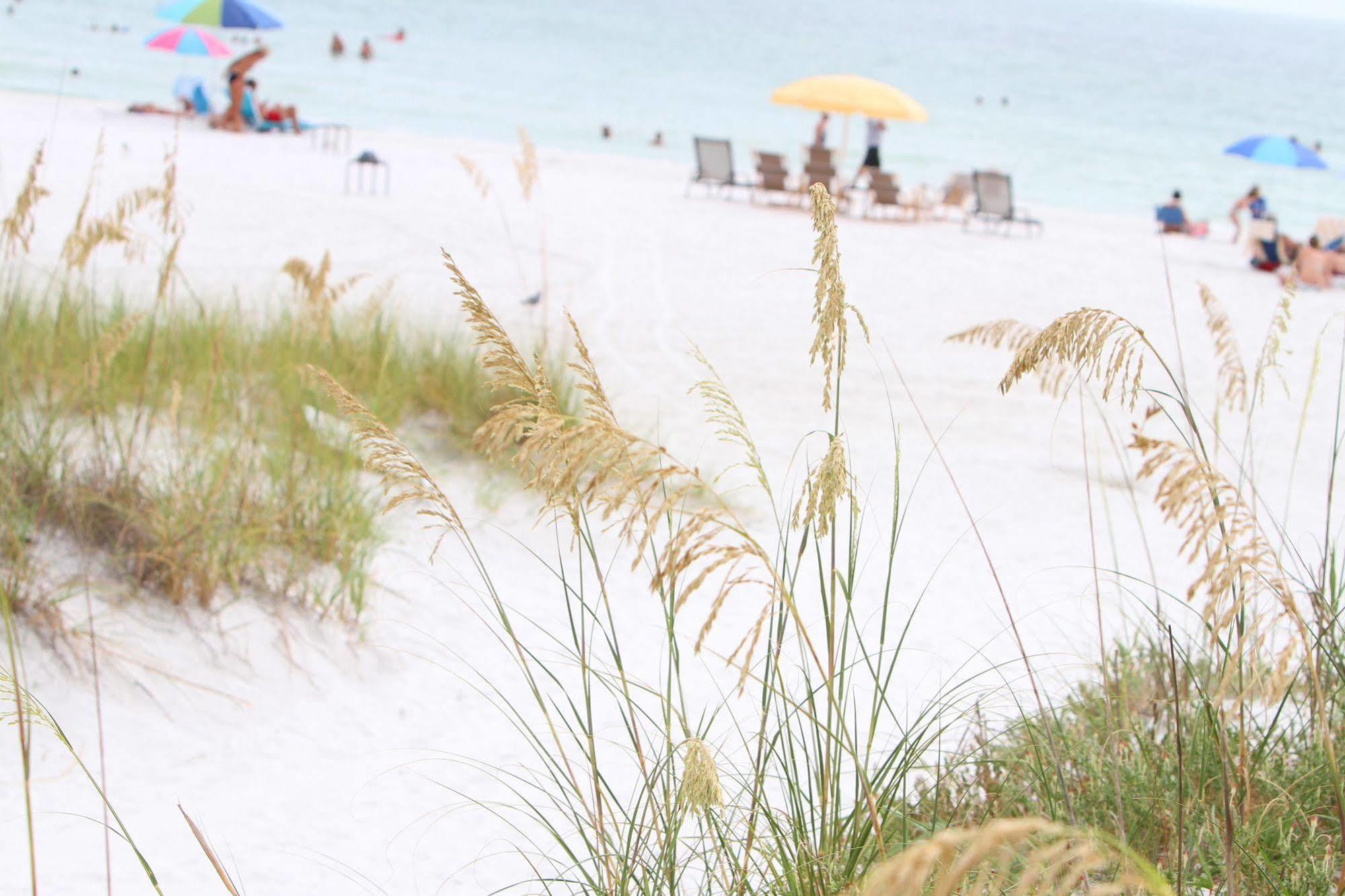 Beach Club At Siesta Key By Rva Exteriér fotografie